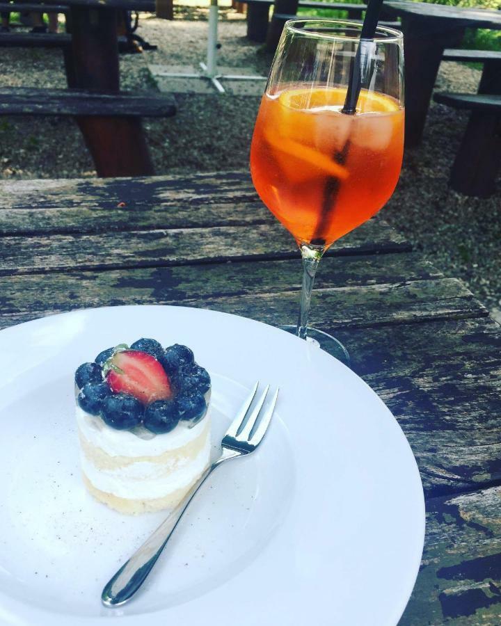 Penzion & Restaurace U Vily Sezimovo Usti المظهر الخارجي الصورة