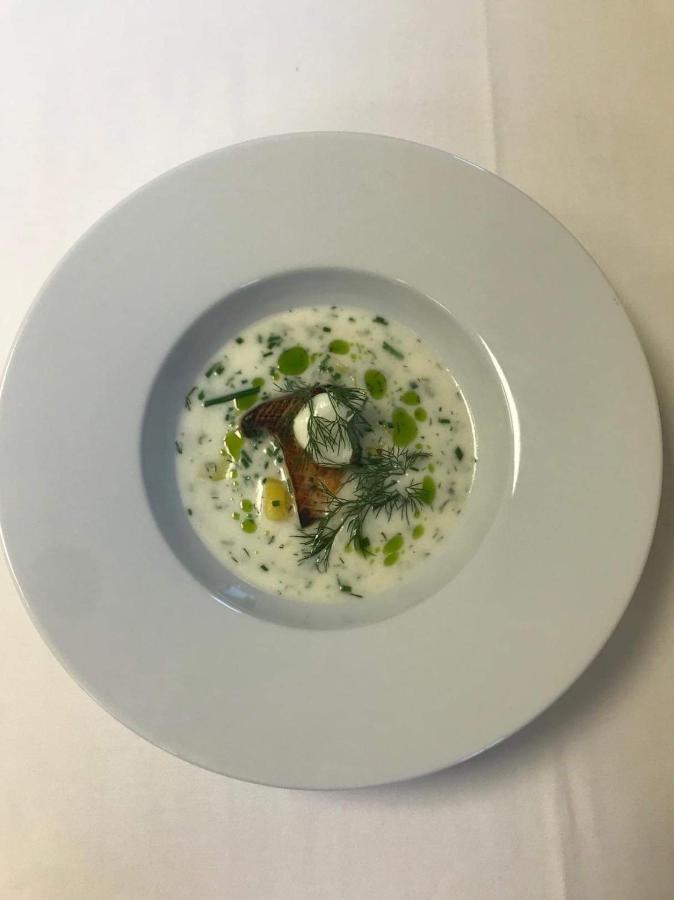 Penzion & Restaurace U Vily Sezimovo Usti المظهر الخارجي الصورة